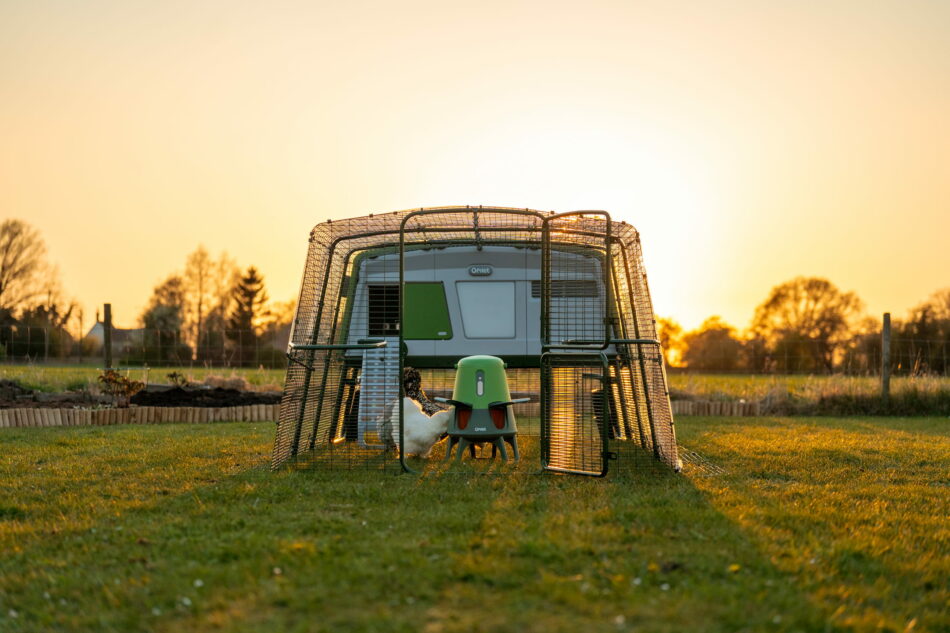poulailler Eglu Pro et mangeoire intelligente et anti-gaspillage pour poules d’Omlet au lever du soleil