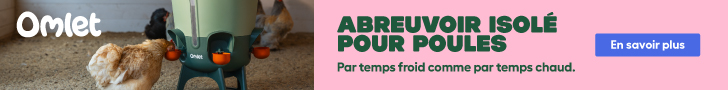 Bannière publicitaire de l’abreuvoir isolé pour poules