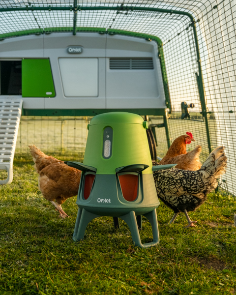 Mangeoire intelligente & anti-gaspillage Omlet dans un poulailler Eglu Pro avec des poules autour