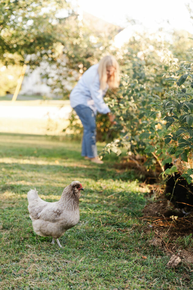 Une femme qui s’occupe de son jardin avec une poule qui se promène sur la pelouse