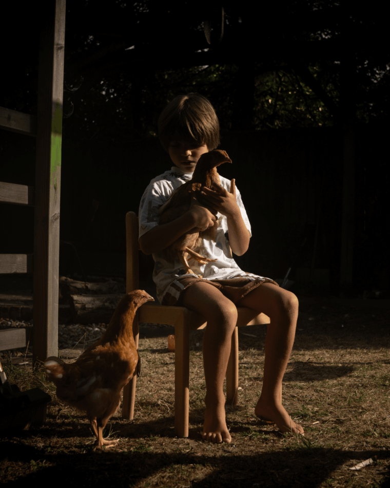Une poule assise sur les genoux d’un enfant avec une autre poule pas loin